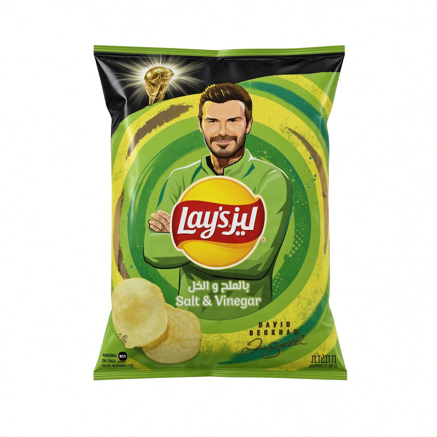 Lay's Salt & Vinegar